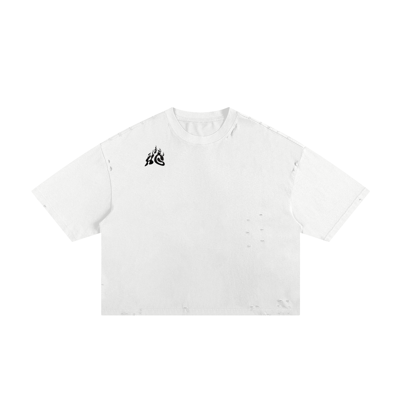 HG Classic Boxy Tee